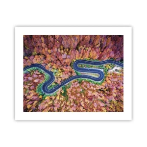 Póster - Un camino sinuoso a través del bosque - 50x40 cm