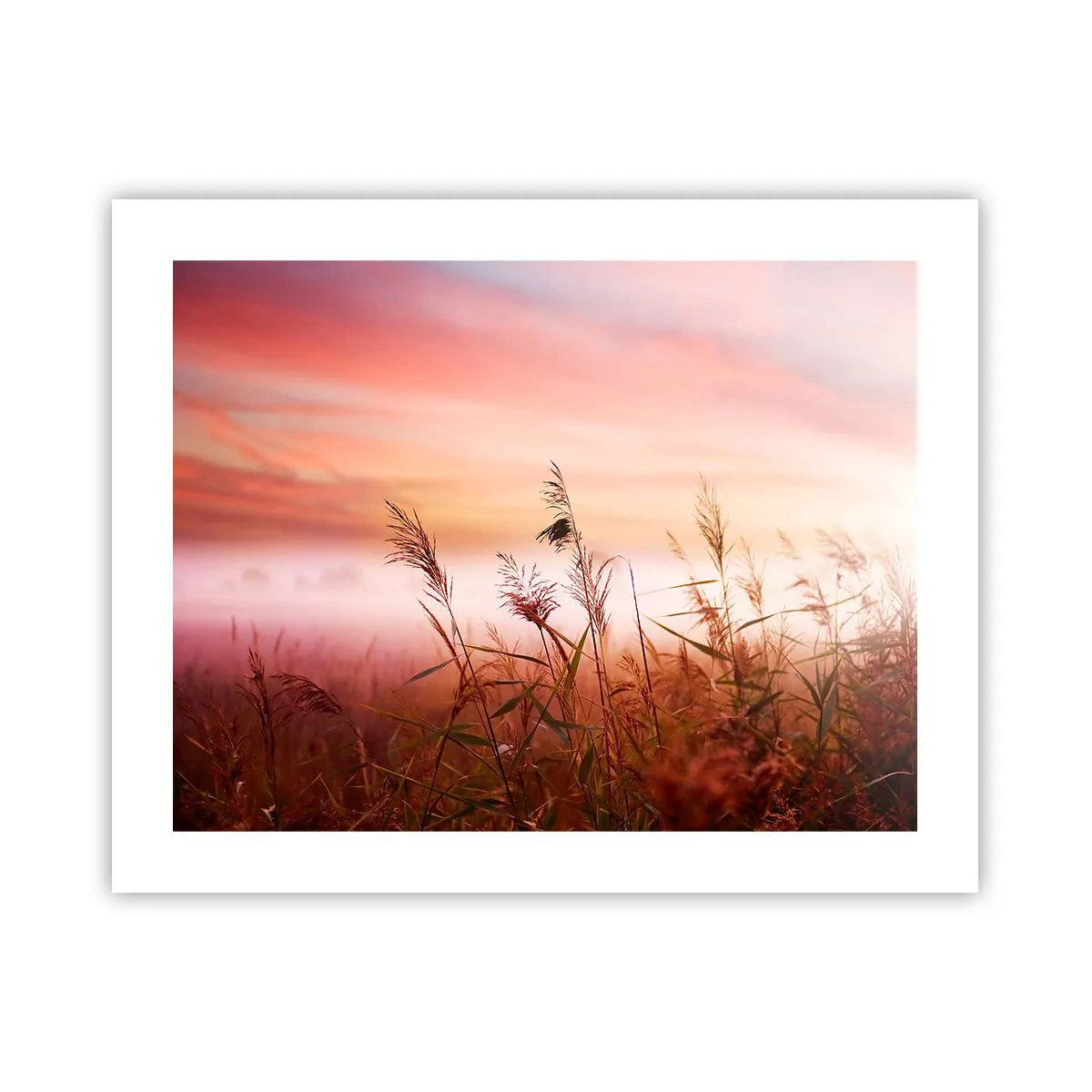 Póster - El arte del viento - 50x40 cm