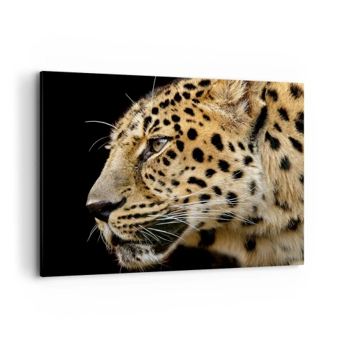 Cuadro sobre lienzo - Impresión de Imagen - Primer plano de la cabeza de un leopardo sobre un fondo negro - 100x70cm - Tranquilo, concentrado, preparado - Decoración de pared moderna para salón y dormitorio ARTTOR