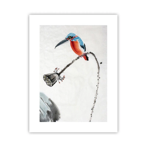 Póster - La vida de la pradera - 30x40 cm