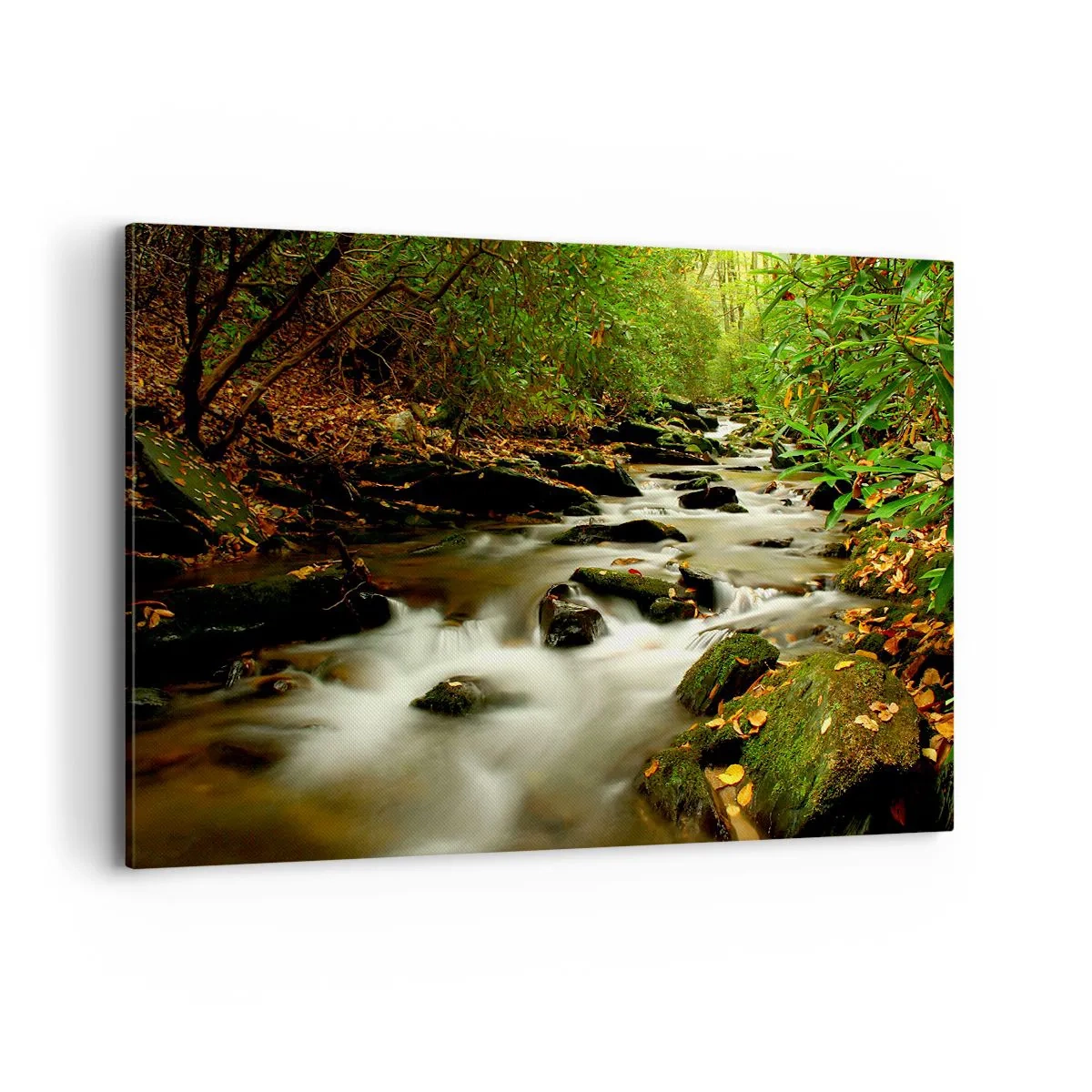 Cuadro sobre lienzo - Impresión de Imagen - Un arroyo forestal que fluye entre piedras rodeadas de vegetación. - 120x80cm - Como plata líquida - Decoración de pared moderna para salón y dormitorio ARTTOR
