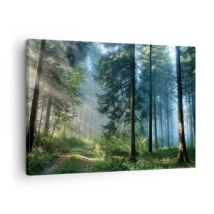 Cuadro sobre lienzo - Impresión de Imagen - Un sendero forestal iluminado por los rayos del sol de la mañana. - 70x50cm - Radiante por la mañana - Decoración de pared moderna para salón y dormitorio ARTTOR