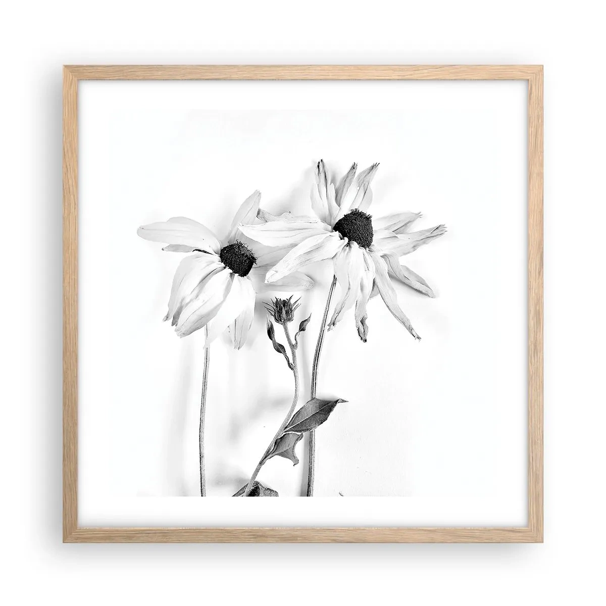 Póster en marco roble claro - Nadie quiere estar solo - 50x50 cm