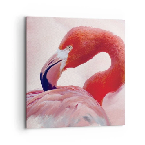 Cuadro sobre lienzo - Impresión de Imagen - La belleza de las aves - 50x50 cm