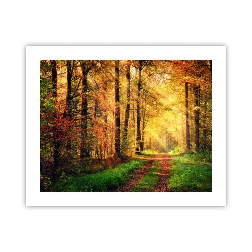 Póster - Silencio dorado del bosque - 50x40 cm