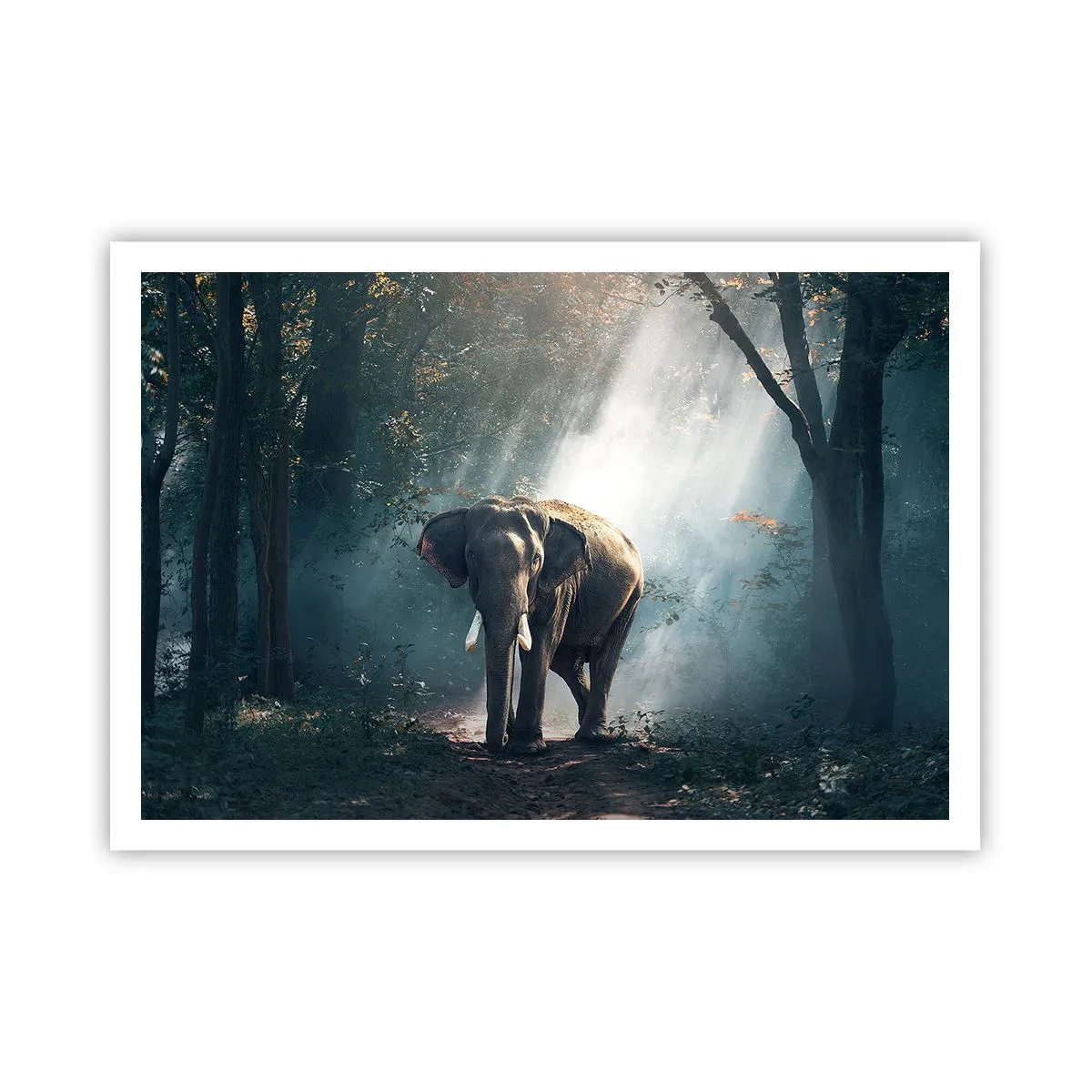 Póster - Elefante en la luz del bosque - 100x70cm - Un paseo tranquilo - Decoración de pared moderna para salón y dormitorio ARTTOR