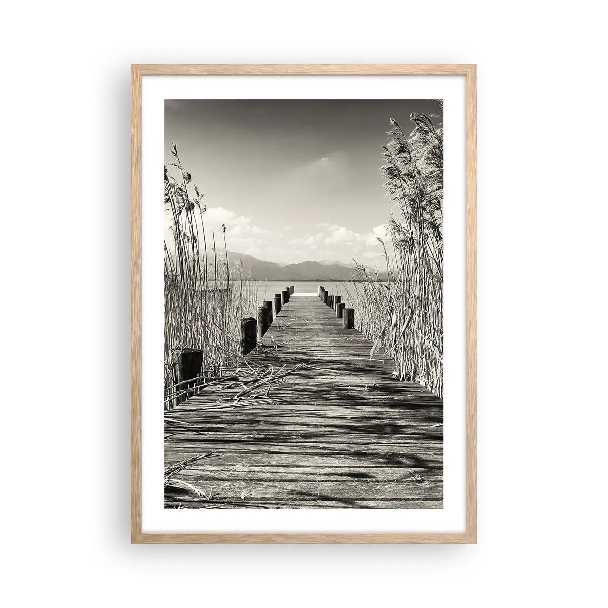 Póster en marco roble claro - En la quietud de los juncos - 50x70 cm