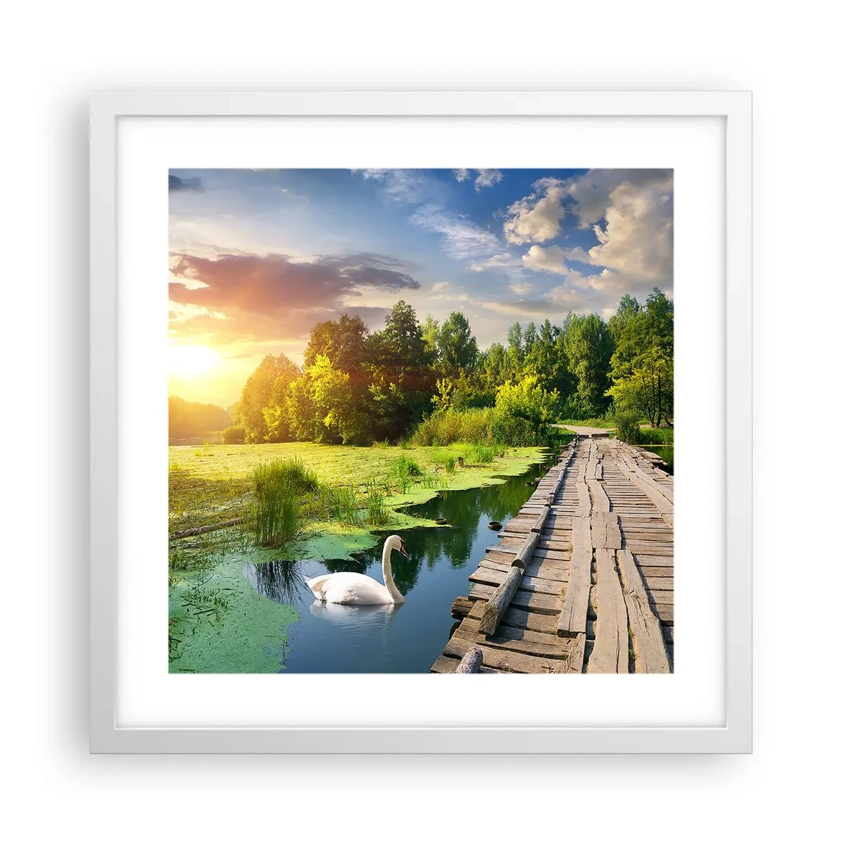 Póster en marco blanco - Verano, verano en todas partes - 40x40 cm