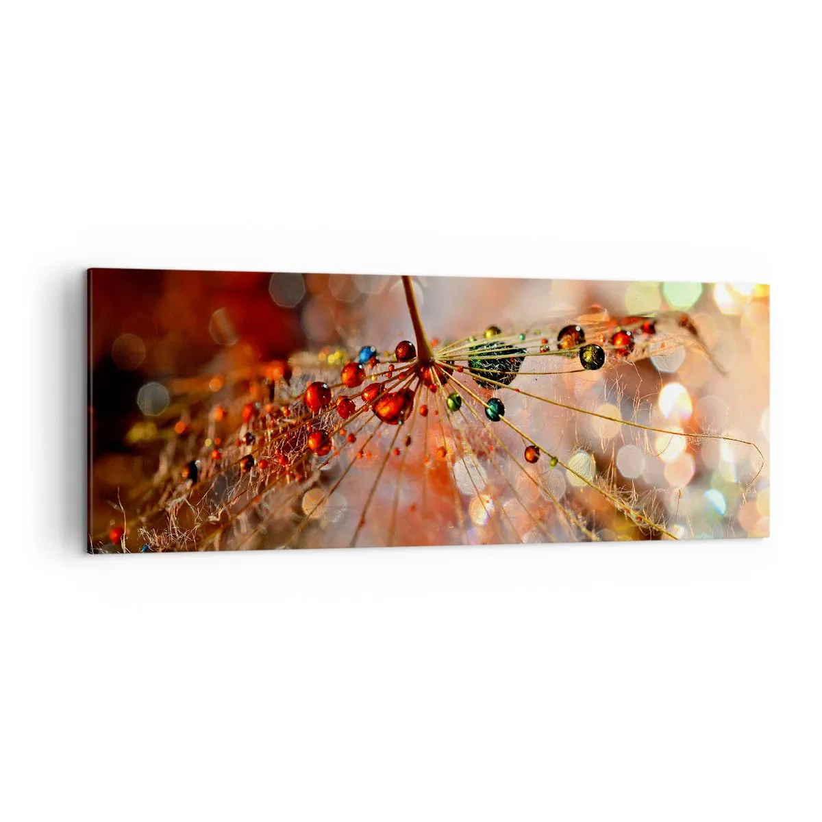 Cuadro sobre lienzo - Impresión de Imagen - Fotografía macro de una gota de agua sobre una planta delicada. - 140x50cm - En una tela de araña - Decoración de pared moderna para salón y dormitorio ARTTOR