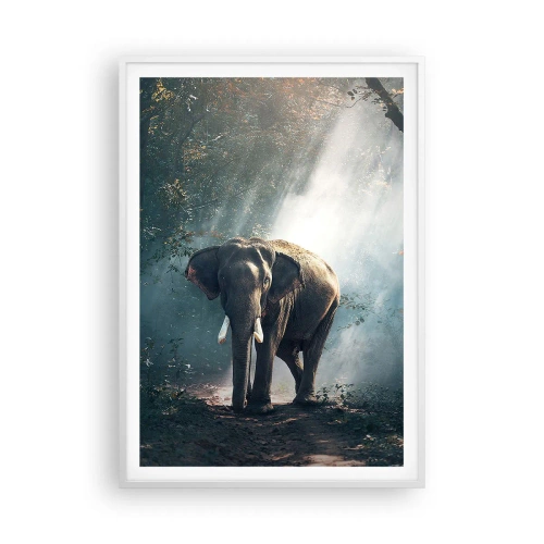 Póster en marco blanco - Un paseo tranquilo - 70x100 cm