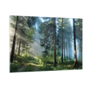 Cuadro sobre vidrio - Impresiones sobre Vidrio - Un sendero forestal en la niebla de la mañana entre árboles altos. - 120x80cm - Radiante por la mañana - Decoración de pared moderna para salón y dormitorio ARTTOR