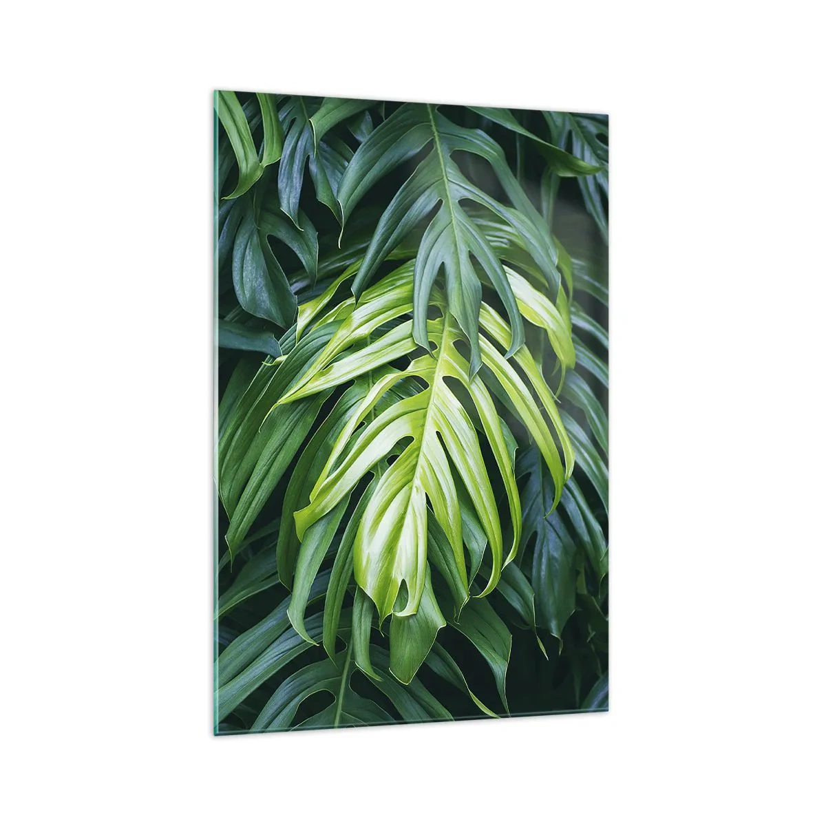 Cuadro sobre vidrio - Impresiones sobre Vidrio - Hojas verdes en un denso arreglo tropical. - 70x100cm - Sumérjase en la frescura - Decoración de pared moderna para salón y dormitorio ARTTOR