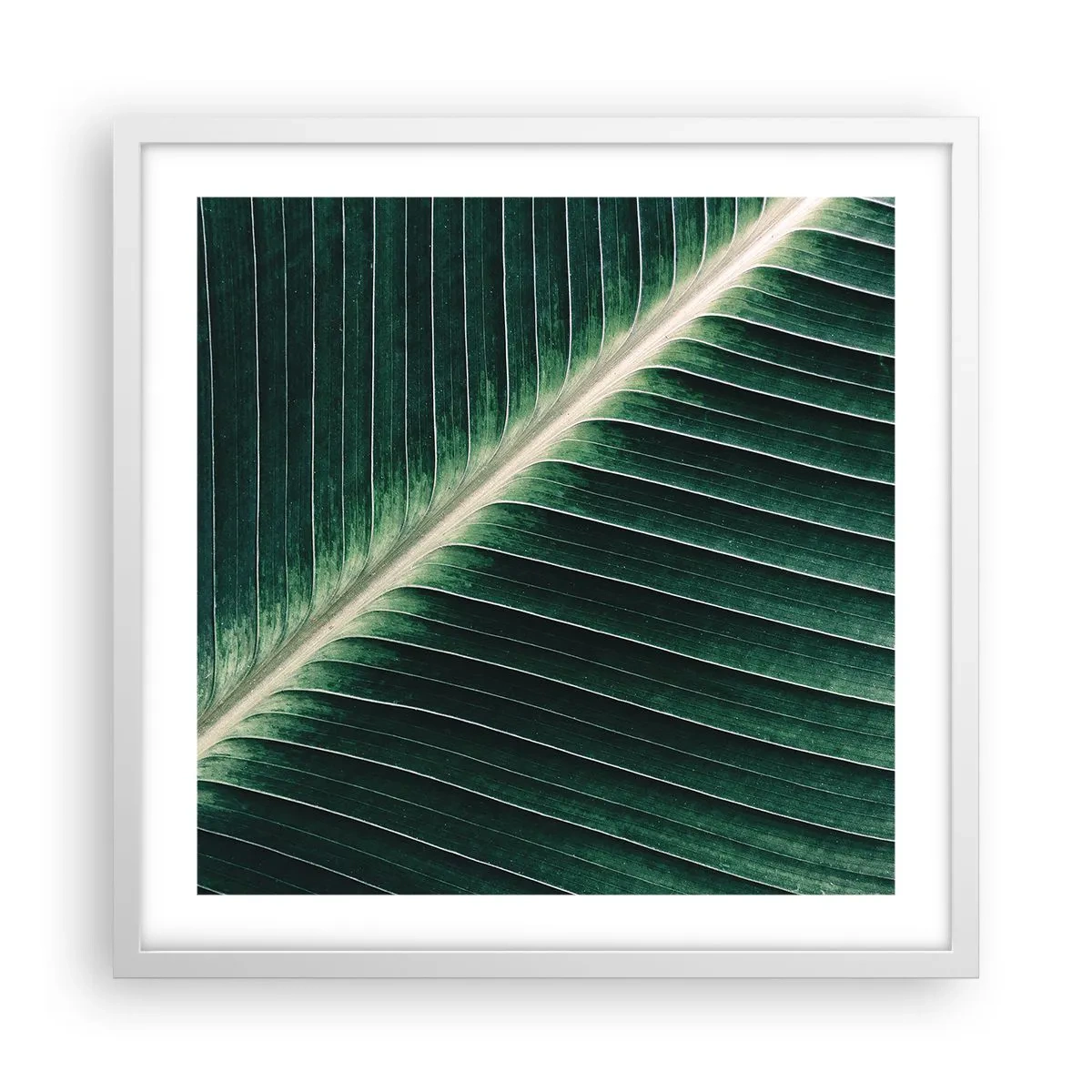 Póster en marco blanco - El ritmo de la naturaleza - 50x50 cm
