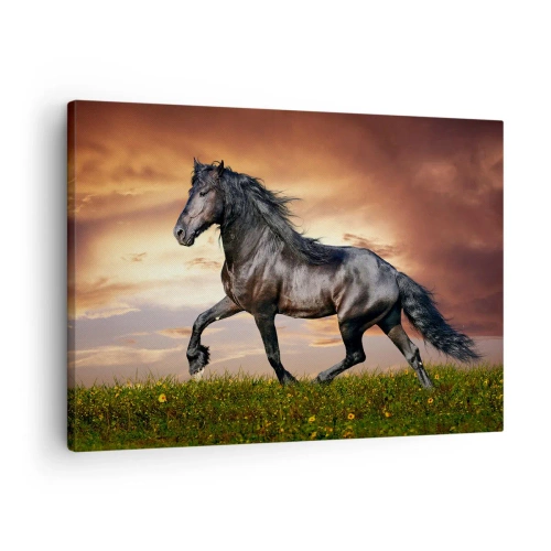 Cuadro sobre lienzo - Impresión de Imagen - Un caballo negro galopando contra el sol poniente. - 70x50cm - Príncipe negro - Decoración de pared moderna para salón y dormitorio ARTTOR