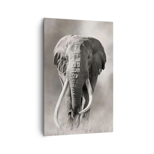 Cuadro sobre lienzo - Impresión de Imagen - Patriarca africano - 80x120 cm