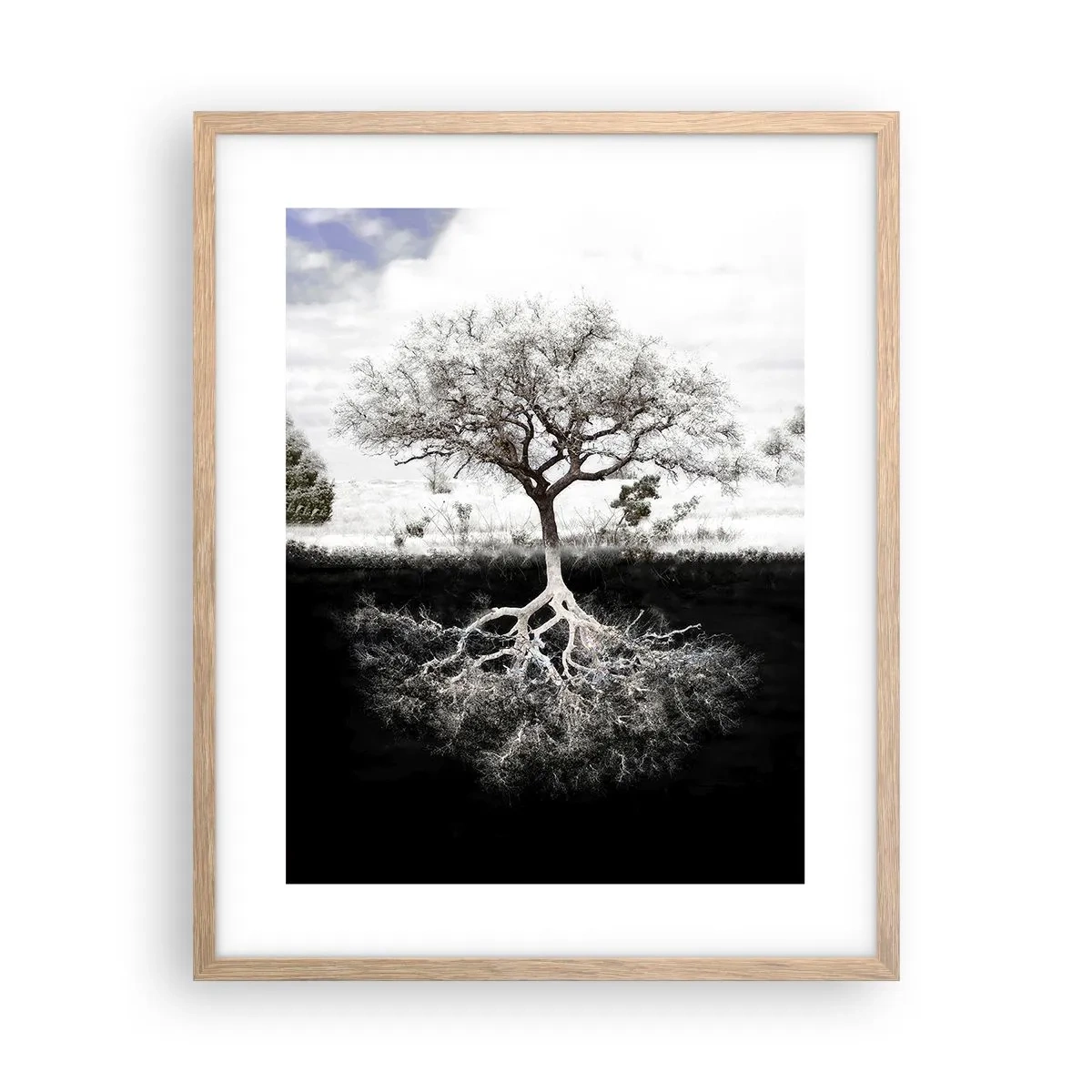 Póster en marco roble claro - Descubrir la naturaleza del mundo - 40x50 cm