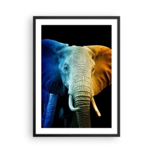 Póster en marco negro - Una imagen colorida de un elefante sobre un fondo negro. - 50x70cm - Excéntrico, no un bicho raro - Decoración de pared moderna para salón y dormitorio ARTTOR