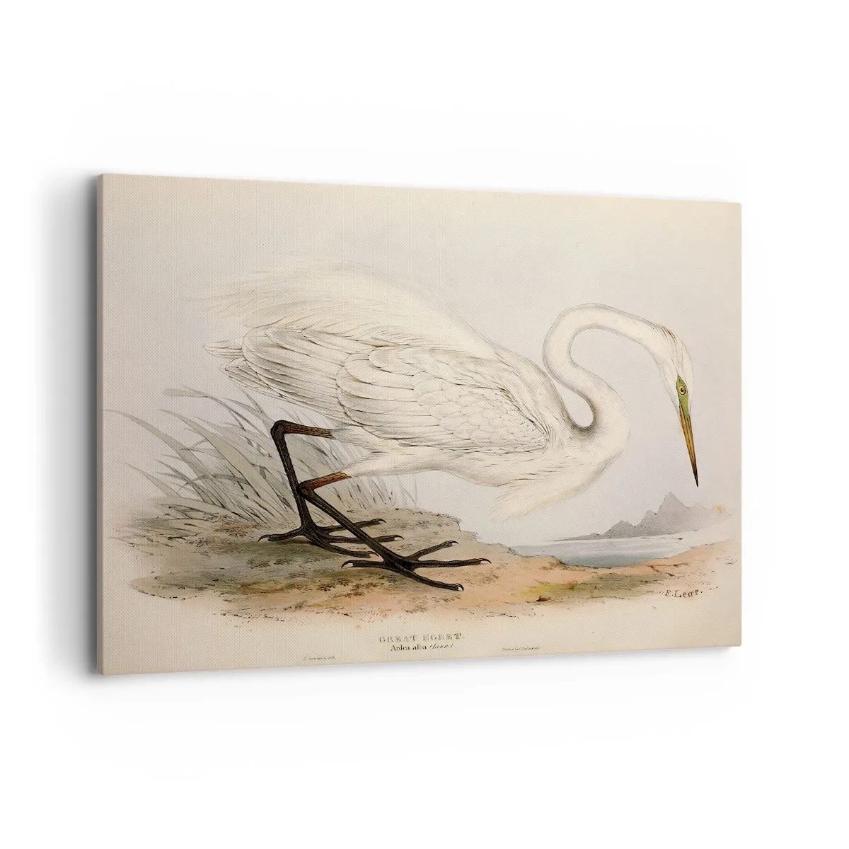 Cuadro sobre lienzo - Impresión de Imagen - Dibujo de una garza blanca sobre un fondo de paisaje natural. - 100x70cm - Dama de los juncos - Decoración de pared moderna para salón y dormitorio ARTTOR