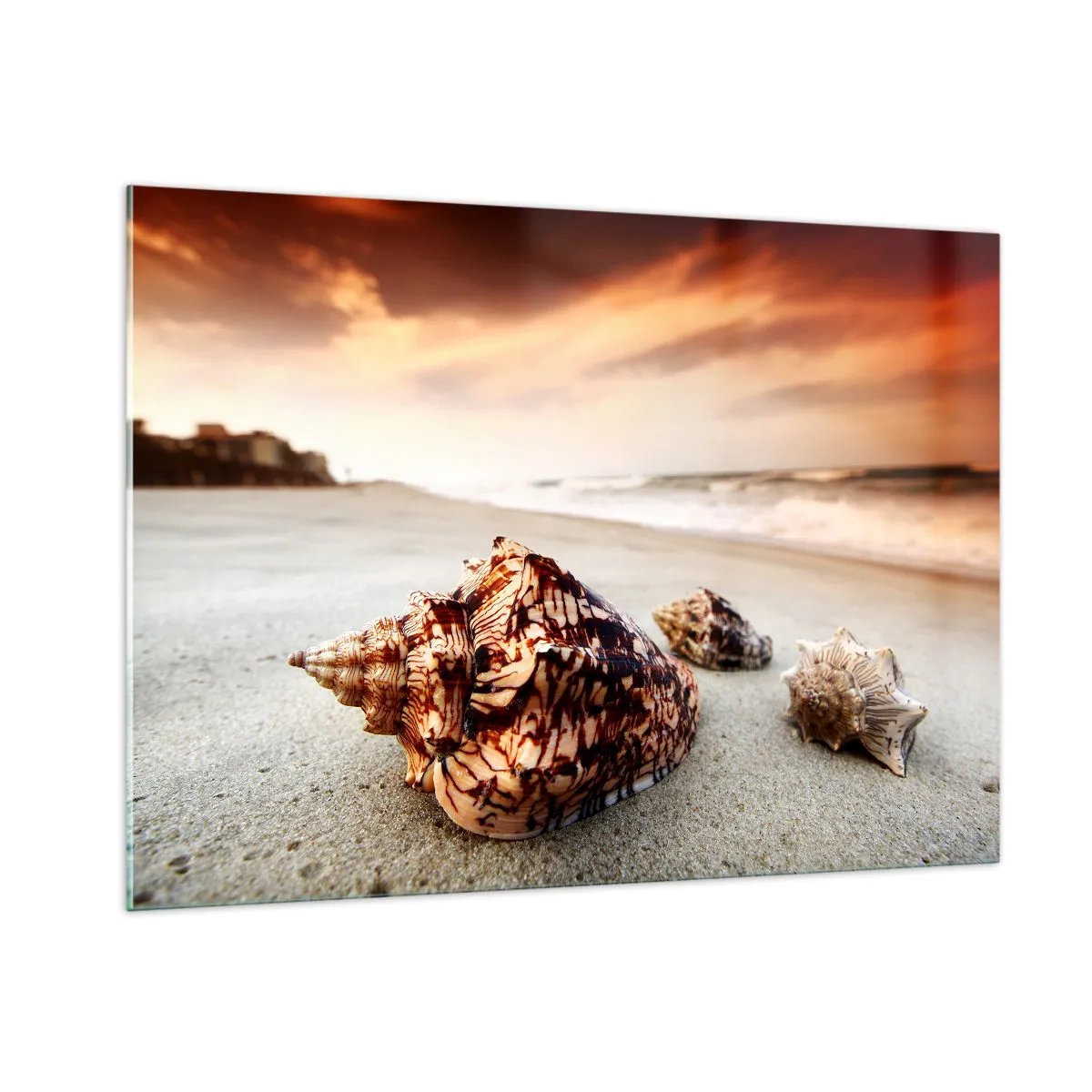 Cuadro sobre vidrio - Impresiones sobre Vidrio - Conchas en la playa al atardecer - 100x70cm - Los exiliados de las olas - Decoración de pared moderna para salón y dormitorio ARTTOR
