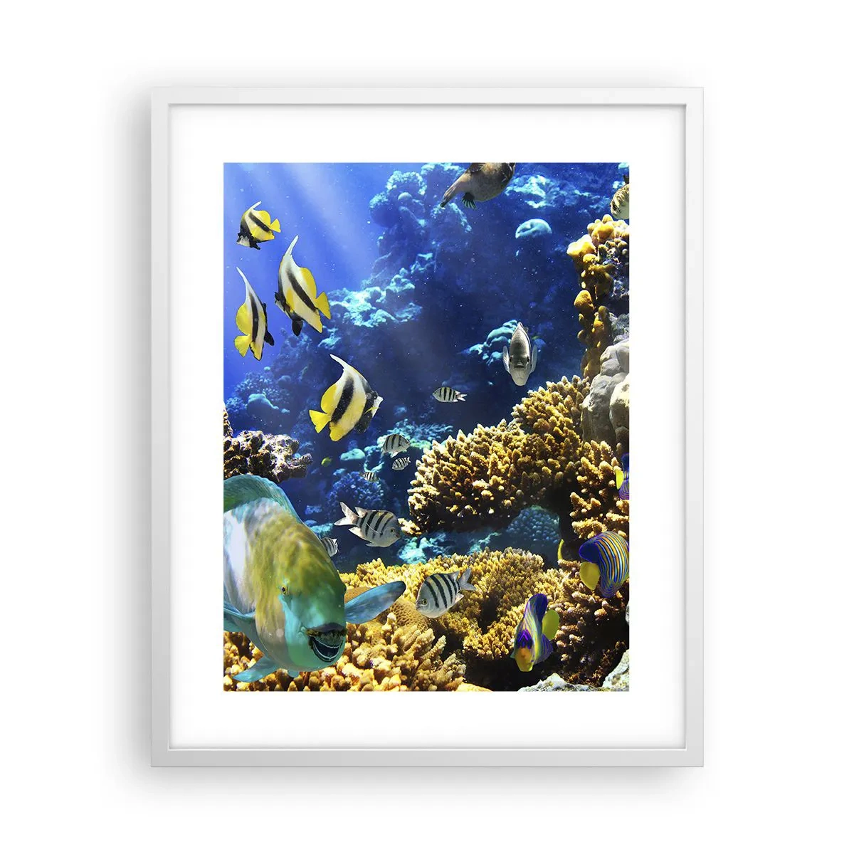 Póster en marco blanco - Vacaciones submarinas - 40x50 cm
