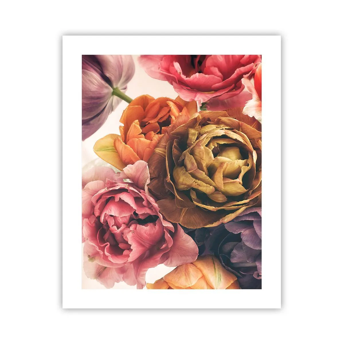 Póster - Celebración de la vida - 40x50 cm