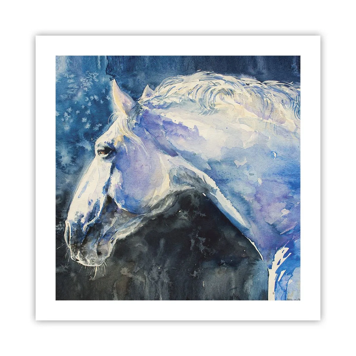 Póster - Retrato en un resplandor azul - 50x50 cm