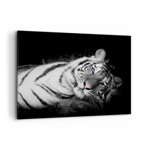 Cuadro sobre lienzo - Impresión de Imagen - Un tigre blanco representado artísticamente sobre un fondo negro. - 100x70cm - Salvaje y tranquilo - Decoración de pared moderna para salón y dormitorio ARTTOR