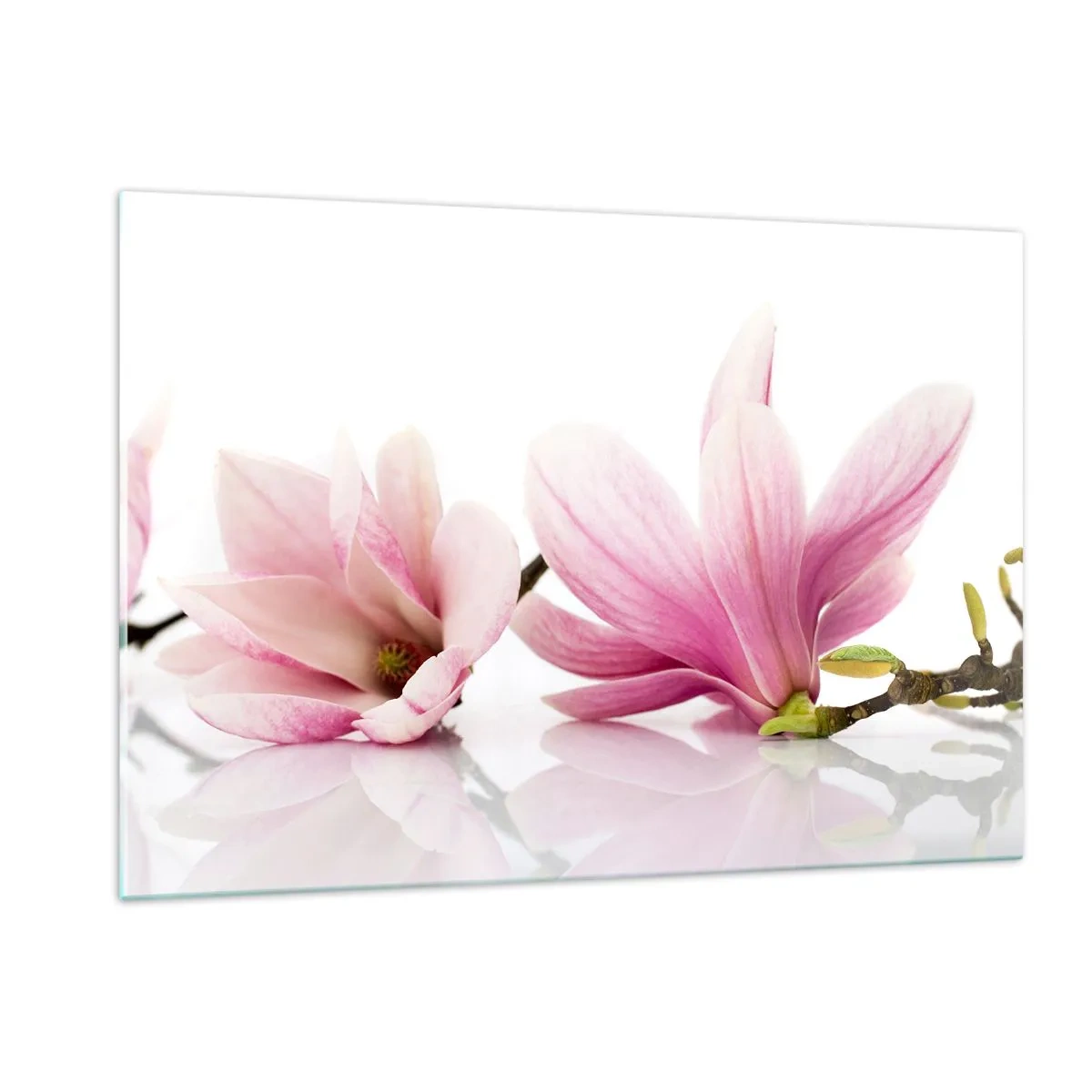 Cuadro sobre vidrio - Impresiones sobre Vidrio - Delicadas flores de magnolia sobre un fondo blanco. - 120x80cm - Suave como un soplo de primavera - Decoración de pared moderna para salón y dormitorio ARTTOR