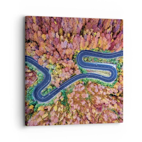 Cuadro sobre lienzo - Impresión de Imagen - Un camino sinuoso a través del bosque - 30x30 cm