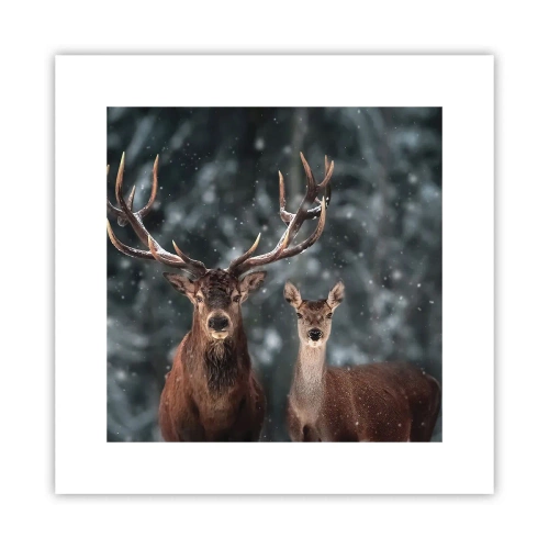 Póster - El señor y la señora del bosque - 30x30 cm
