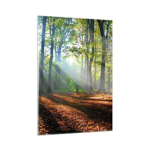 Cuadro sobre vidrio - Impresiones sobre Vidrio - Un bosque bajo los rayos del sol en un paisaje otoñal. - 50x70cm - Resplandores y sombras - Decoración de pared moderna para salón y dormitorio ARTTOR