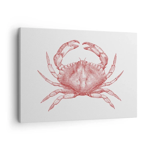 Cuadro sobre lienzo - Impresión de Imagen - Dibujo de un cangrejo en tono rojo. - 70x50cm - El explorador de las rocas - Decoración de pared moderna para salón y dormitorio ARTTOR