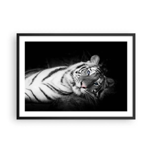 Póster en marco negro - Un tigre blanco representado artísticamente sobre un fondo negro. - 70x50cm - Salvaje y tranquilo - Decoración de pared moderna para salón y dormitorio ARTTOR
