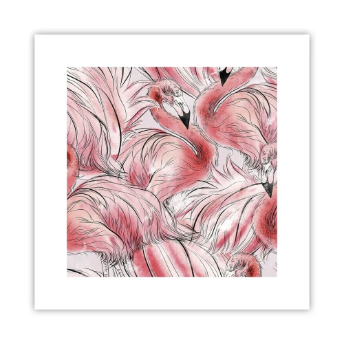 Póster - Ballet de aves - 30x30 cm