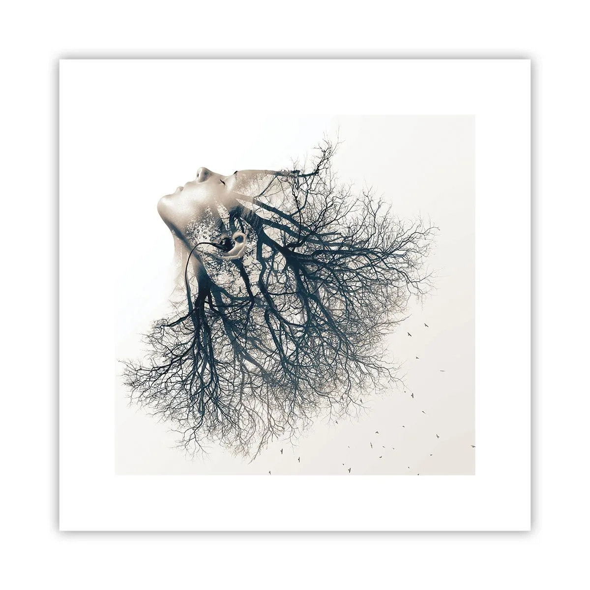 Póster - Escuchando el susurro de un árbol - 30x30 cm