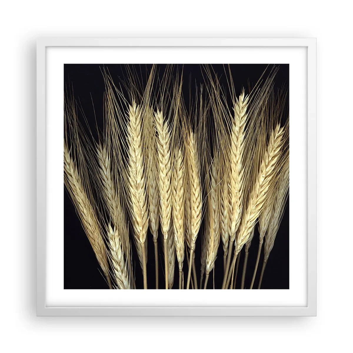 Póster en marco blanco - Magia rústica - 50x50 cm