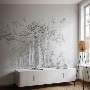 Fotomural Premium Canvas - La luz de un bosque de abedules - Bosque, Abedul, Árboles - 300x210 cm