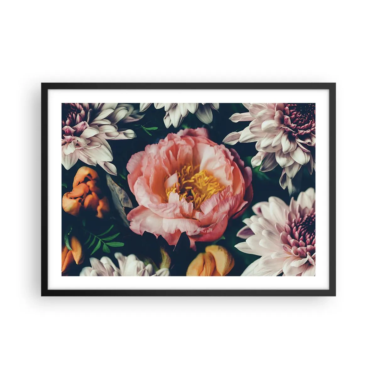 Póster en marco negro - Arreglo floral con peonías y crisantemos sobre fondo oscuro. - 70x50cm - Con esplendor barroco - Decoración de pared moderna para salón y dormitorio ARTTOR