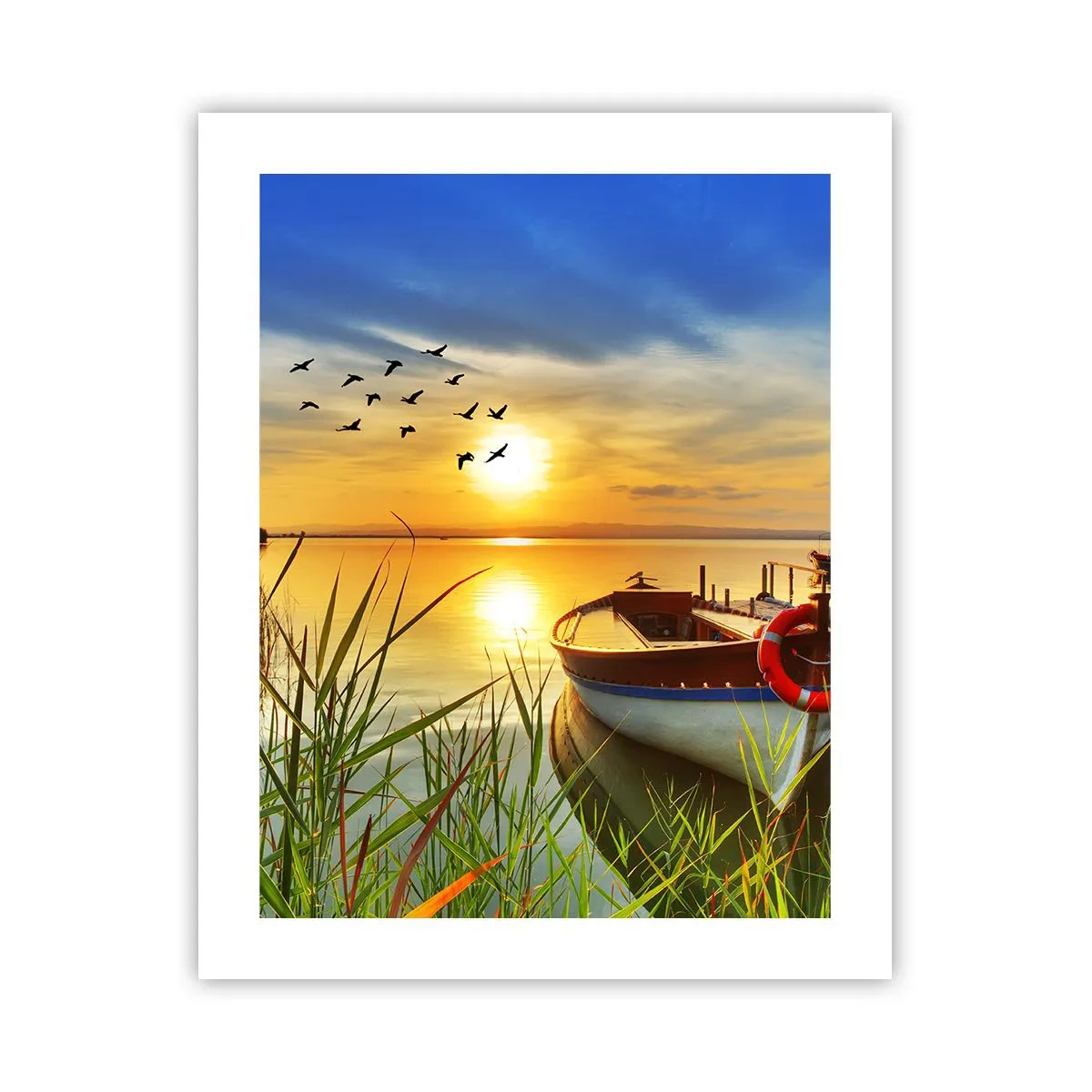 Póster - Los cormoranes están volando - 40x50 cm