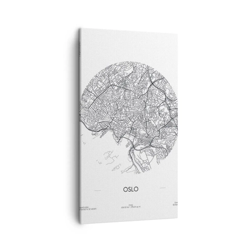 Cuadro sobre lienzo - Impresión de Imagen - Anatomía de Oslo - 45x80 cm