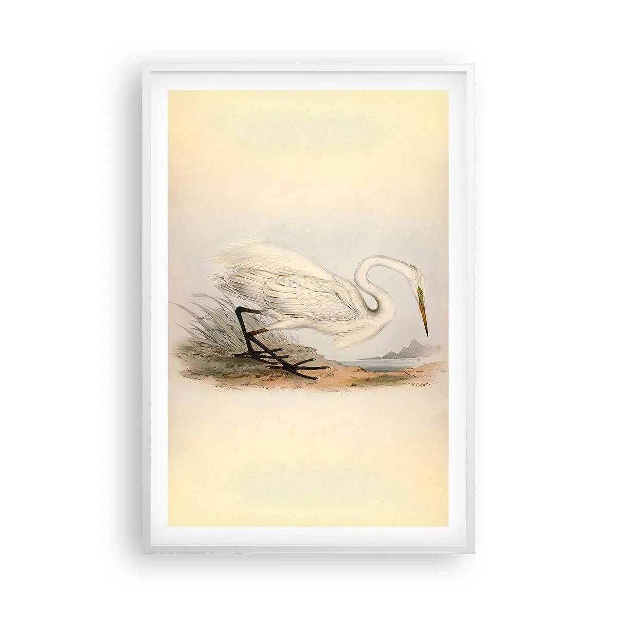 Póster en marco blanco - Dama de los juncos - 61x91 cm