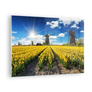 Cuadro sobre vidrio - Impresiones sobre Vidrio - Un campo de tulipanes amarillos con molinos de viento al fondo en un día soleado. - 70x50cm - No podría ser más holandés - Decoración de pared moderna para salón y dormitorio ARTTOR