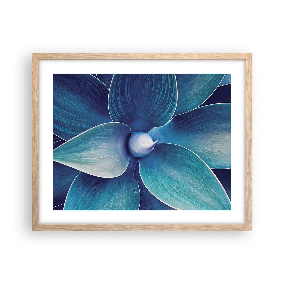 Póster en marco roble claro - Azul del cielo - 50x40 cm