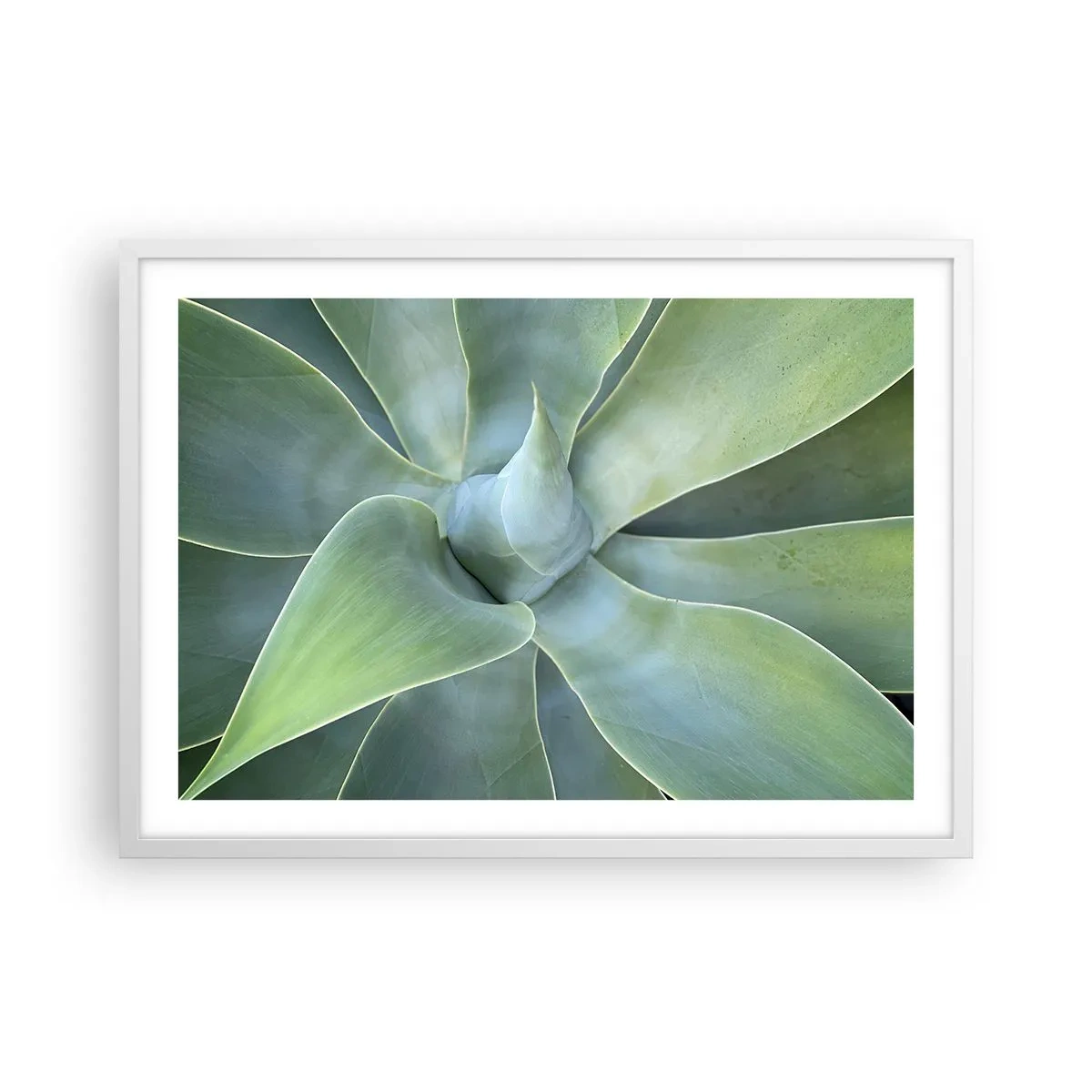 Póster en marco blanco - El nacimiento del verde - 70x50 cm