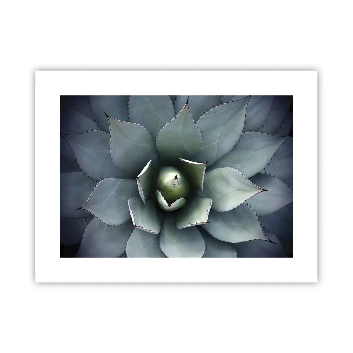 Póster - Perfección natural - 40x30 cm