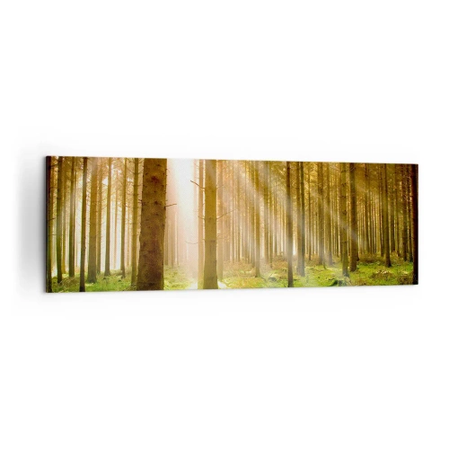Cuadro sobre lienzo - Impresión de Imagen - Bosque de coníferas con rayos de sol brillando a través de los árboles. - 160x50cm - Los elfos se aproximan - Decoración de pared moderna para salón y dormitorio ARTTOR