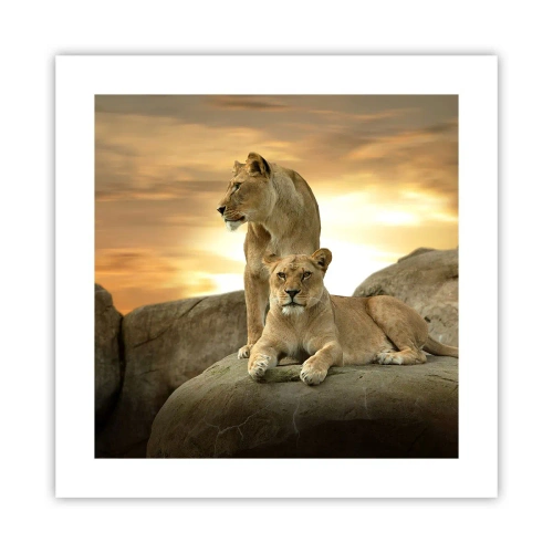 Póster - Majestuosidad real - 40x40 cm