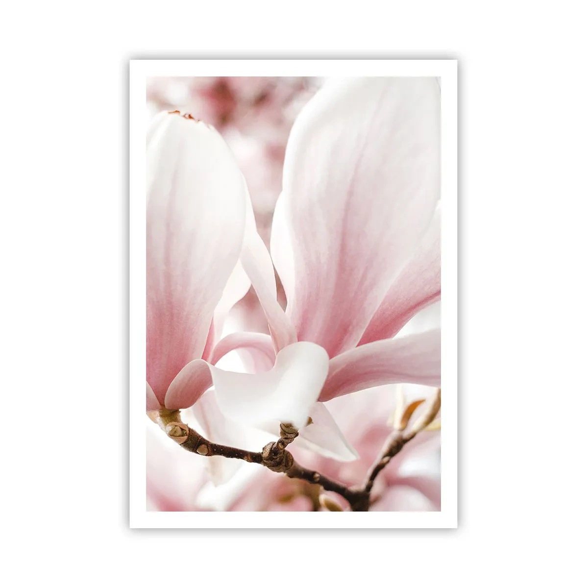 Póster - Inmensidad de la ternura - 70x100 cm