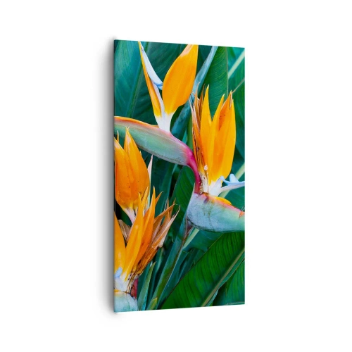 Cuadro sobre lienzo - Impresión de Imagen - ¿Es una flor o es un pájaro? - 65x120 cm