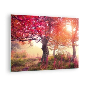 Cuadro sobre vidrio - Impresiones sobre Vidrio - Bosque otoñal con rayos de sol por la mañana. - 70x50cm - Un frenesí de floración - Decoración de pared moderna para salón y dormitorio ARTTOR